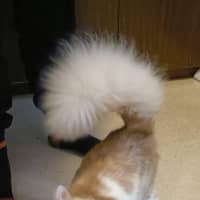 Photo of Dj