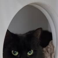 Photo of Meave