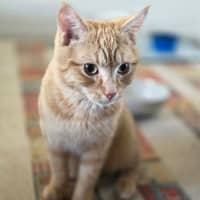 Photo of Bartholomew