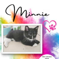 Photo of Mintie