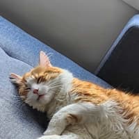 Photo of Jasper