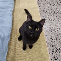 Photo of Bell
