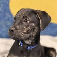 Photo of Spike