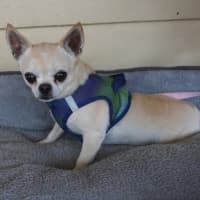 Photo of Fleur