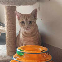 Photo of Victor