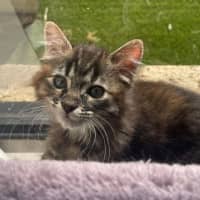 Photo of Mozee