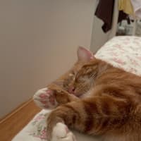 Photo of Grandpa George And Grandpa Joe