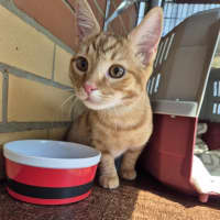 Photo of Monkey! 🦧 