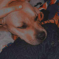 Photo of Bud