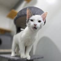 Photo of Bunni