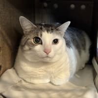 Photo of Tia
