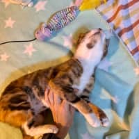 Photo of Moe   Located In Brunswick West