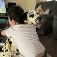 Photo of Daisy