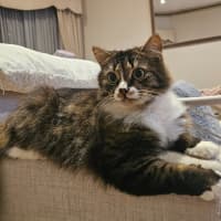 Photo of Princy