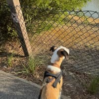 Photo of Isla