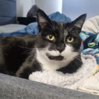 Photo of Mia