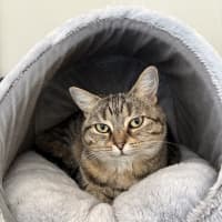 Photo of Charlie
