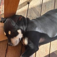 Photo of Reginald