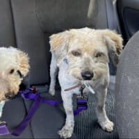 Photo of Angie And Naki Lozano