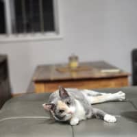 Photo of Lucinda
