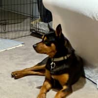 Photo of Ponzi