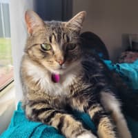 Photo of Willow