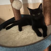 Photo of Furnando