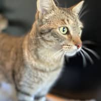 Photo of Jasper