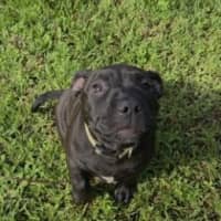 Photo of Coco