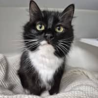 Photo of Luna 