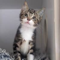 Photo of Turbo