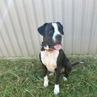 Photo of Axel