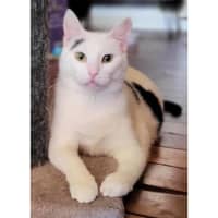 Photo of 9761   Acadia