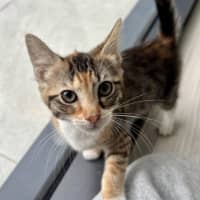 Photo of Kalia