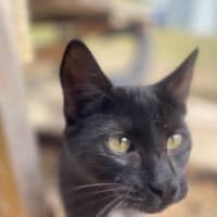 Photo of Bianca