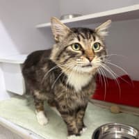 Photo of Mr. Thompson 