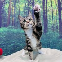 Photo of Taylor   Located In Preston