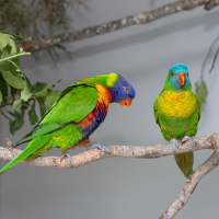 Photo of Lorri