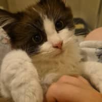 Photo of Luca