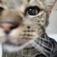 Photo of Squiggs
