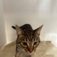 Photo of Vader & Weasley 