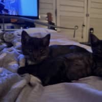 Photo of Danny (With Kenickie)