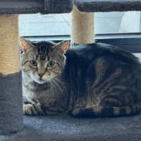 Photo of Kimchi & Bruno