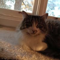 Photo of Ms. Ida Mae