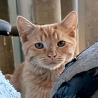 Photo of Sunnysideup