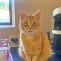 Photo of Buzz