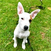 Photo of Molly