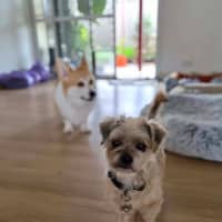 Photo of Darla