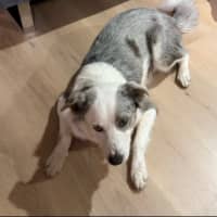 Photo of Zeus 