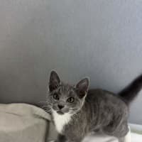Photo of Polly